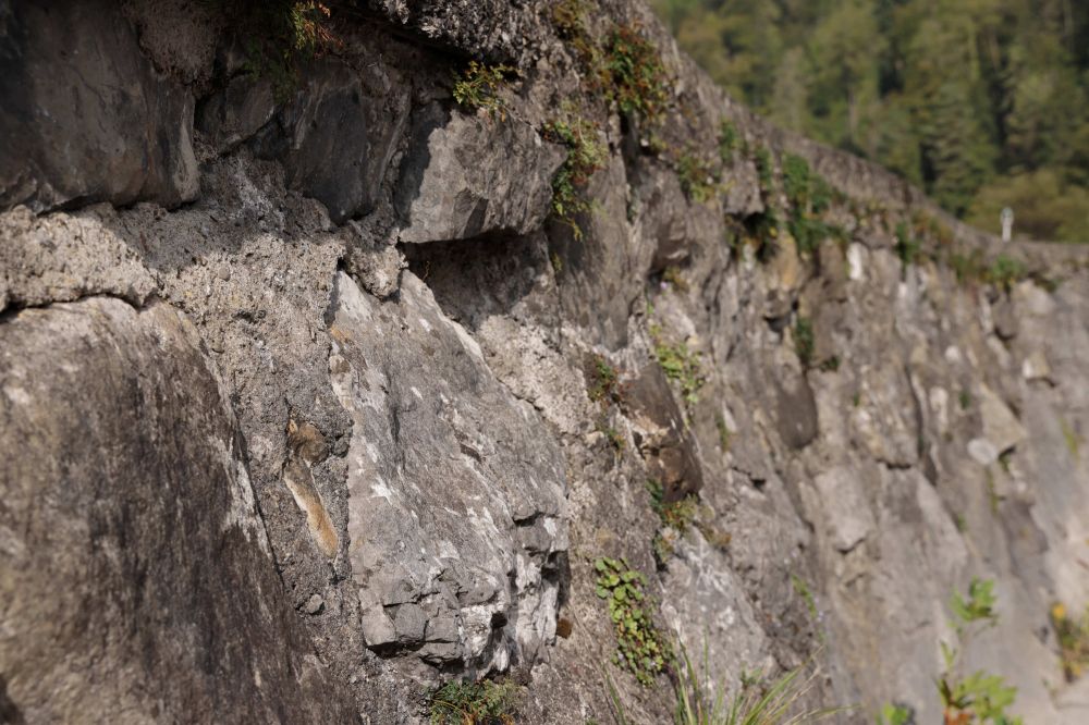 20231001095212 W39 7643