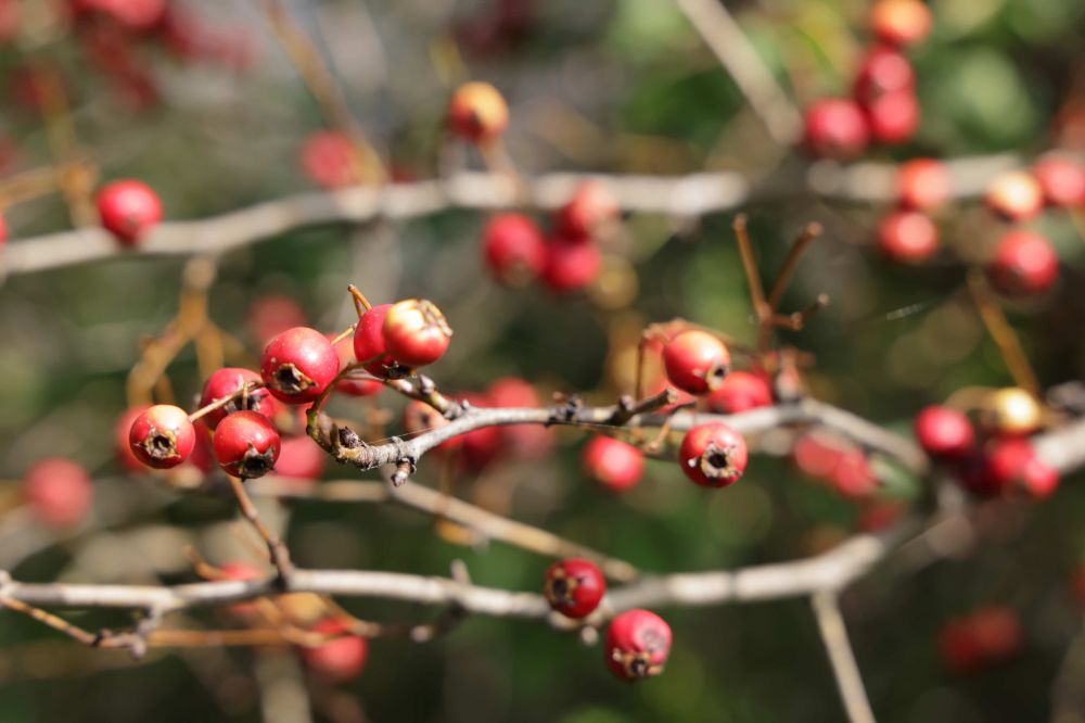 20231001095212 W39 7664