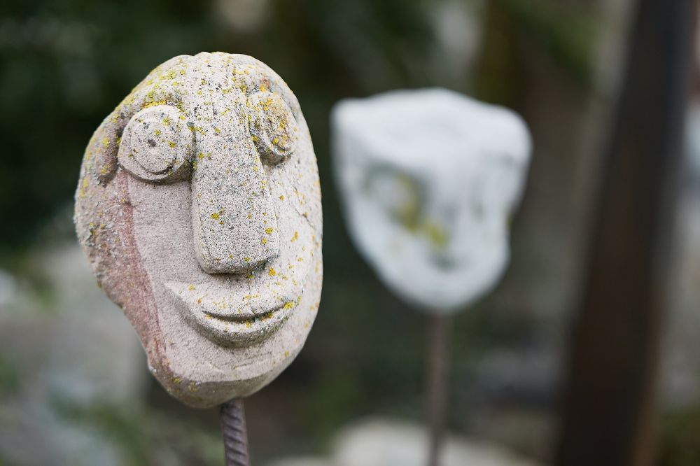 20230817160356 20230803 Img 8574 Rr