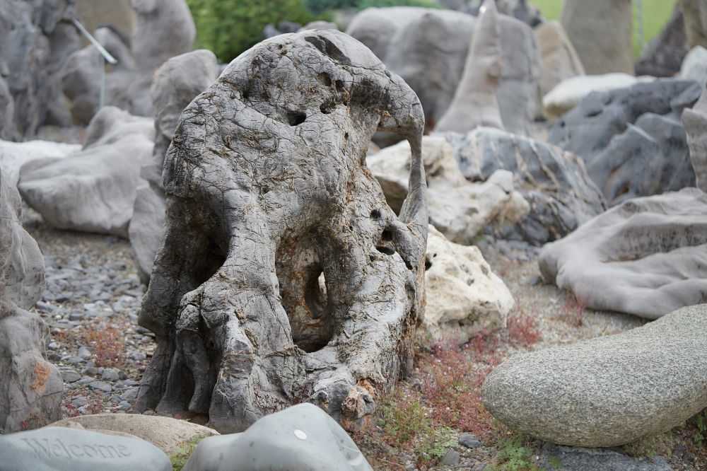 20230817160357 20230803 Img 8575 Rr