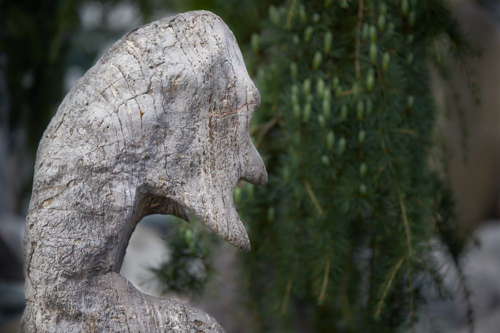 20230817160357 20230803 Img 8621 Rr