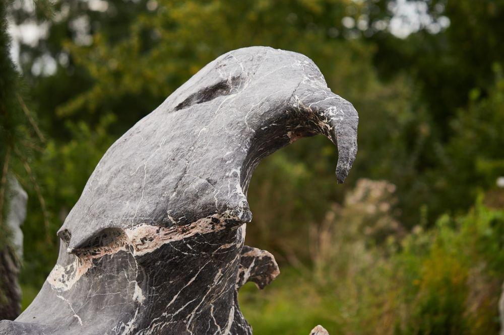 20230817160357 20230803 Img 8624 Rr