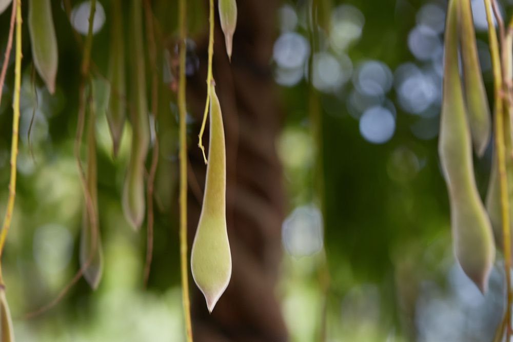 20230817160357 20230803 Img 8681 Rr