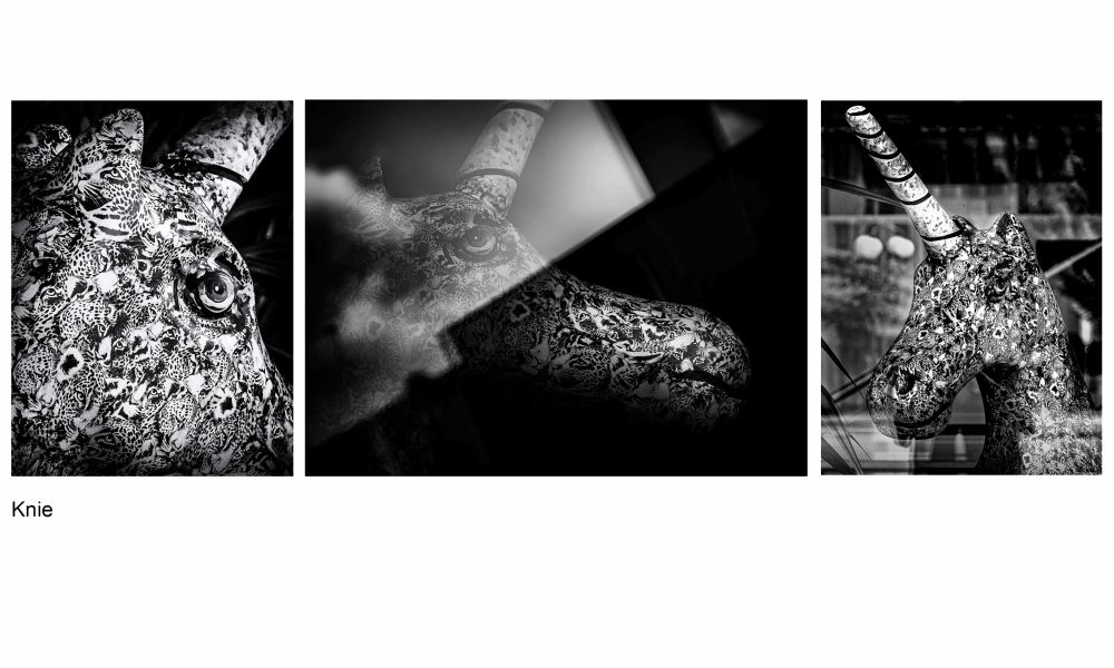 03 Rang Susanne Baumberger