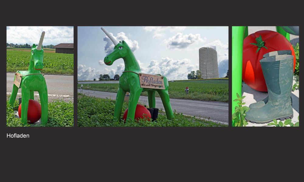 04 Rang Rene Zangerl