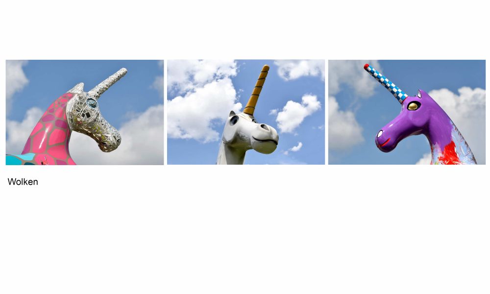 06 Rang Urs Zimmermann