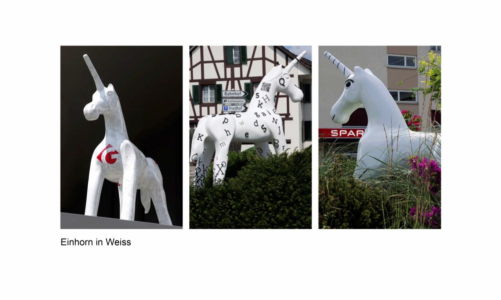 10 Rang Walter Steinacher