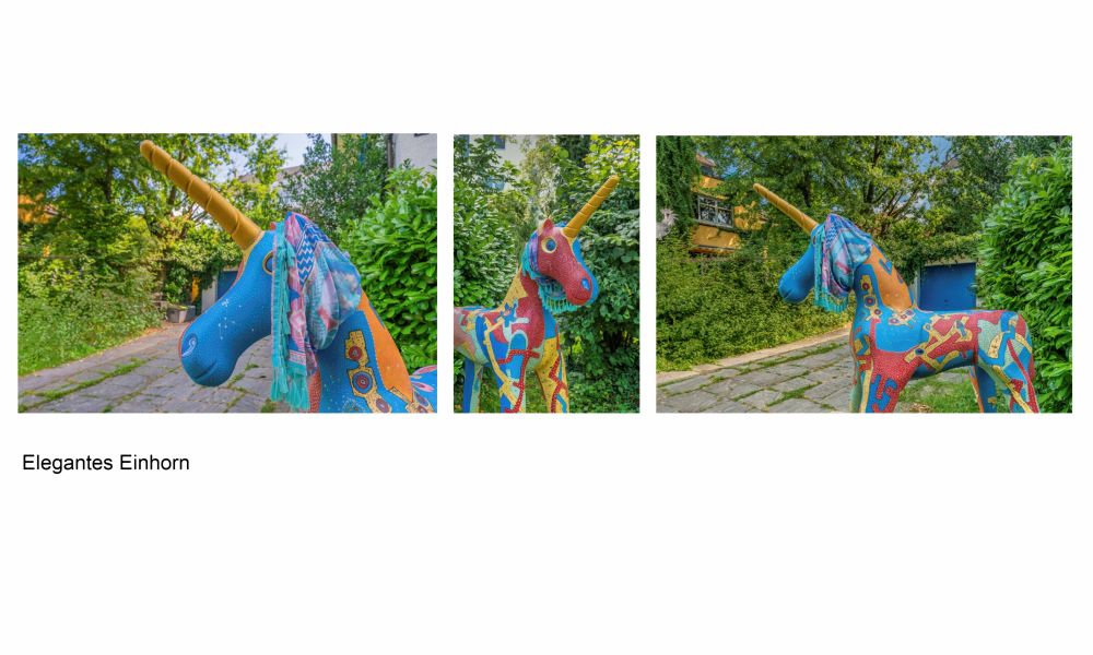 11 Rang Ernst Burgermeister