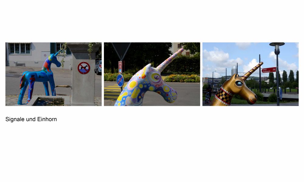 11 Rang Markus Kaufmann