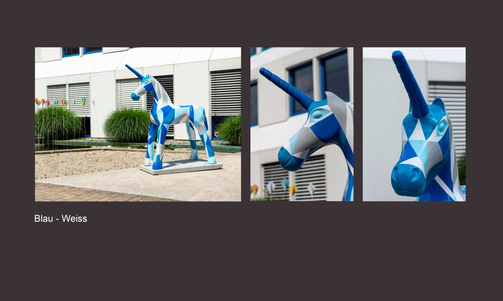 Ausser Konkurenz Peter Jenni