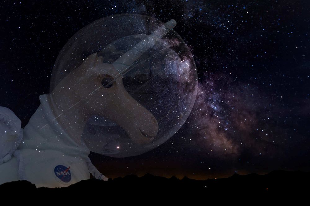 Bestes Einzelbild Arthur Pfaeffli