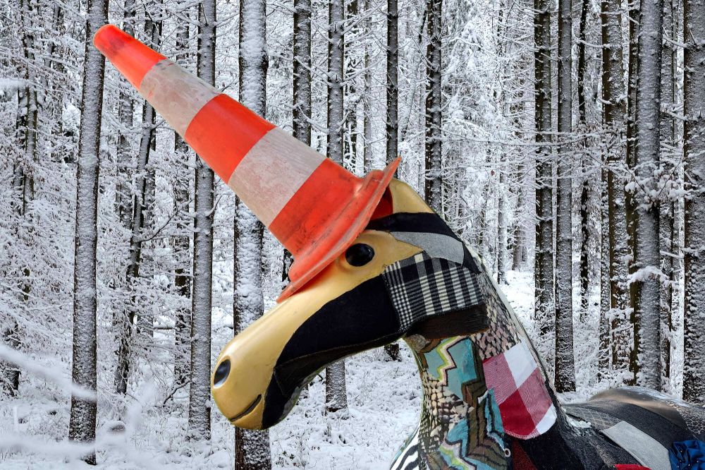 Bestes Einzelbild Eric Volmer