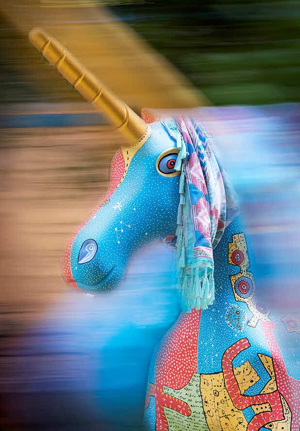 Bestes Einzelbild Peter Jenni