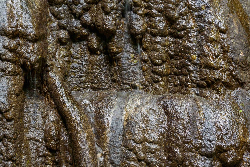 1 1 Oliverferri Fotocup2017 Hp Fcrj