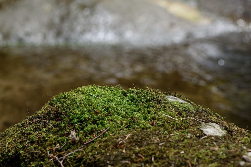 1 2 Oliverferri Fotocup2017 Hp Fcrj