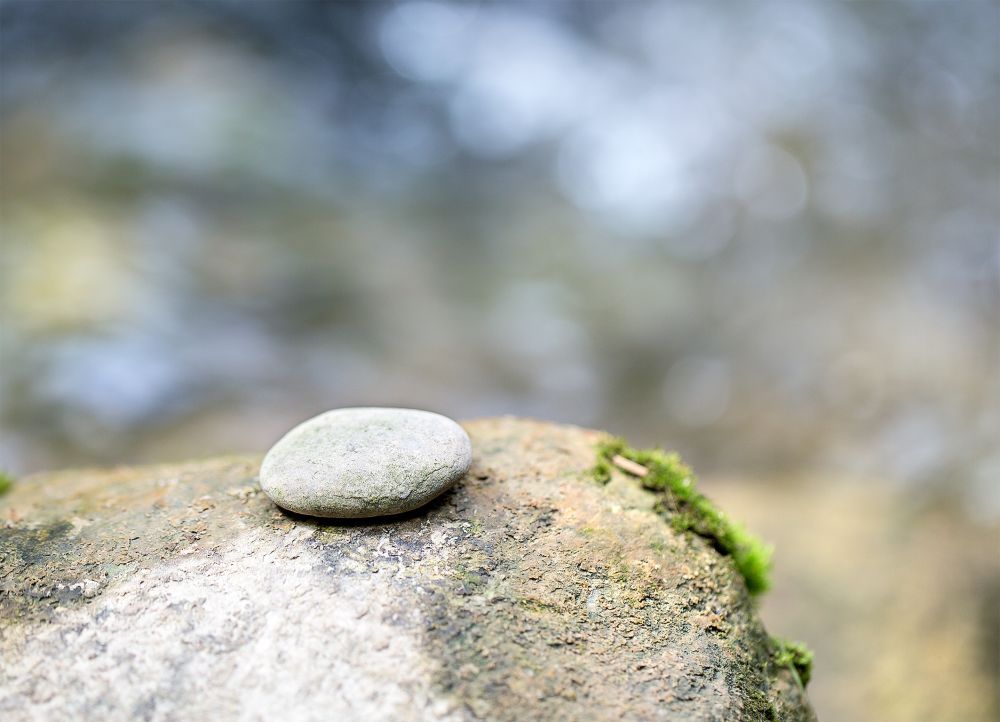 2 3 Gabrielaschaufelberger Fotocup2017 Hp Fcrj