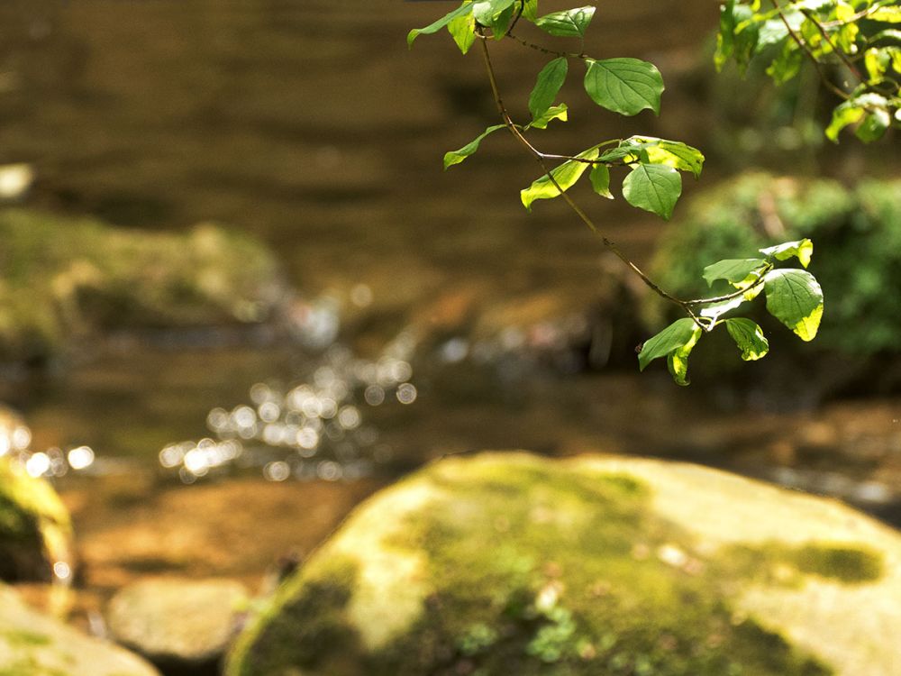 4 1 Monikapircher Fotocup2017 Hp Fcrj