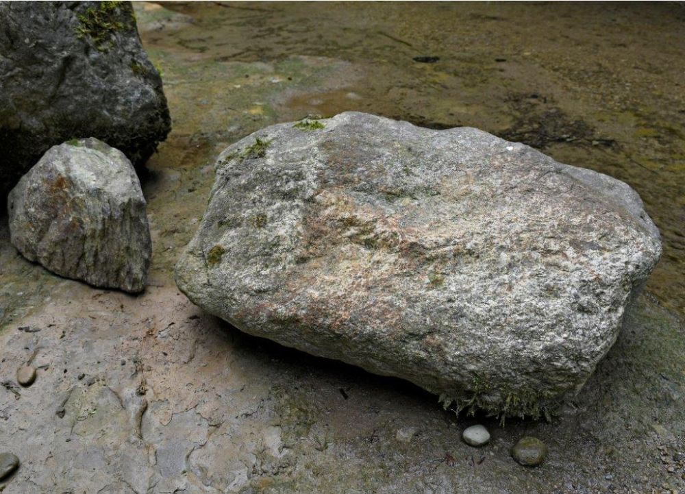 6 2 Urszimmermann Fotocup2017 Hp Fcrj