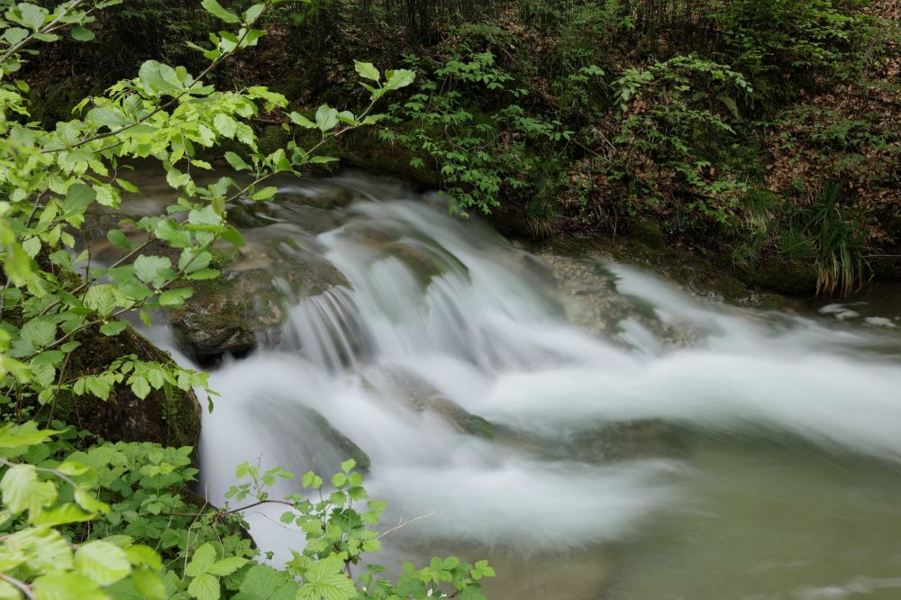 20230520173946 W19 6561