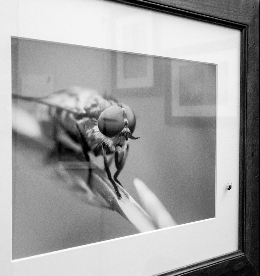 Ausstellung Colmar V