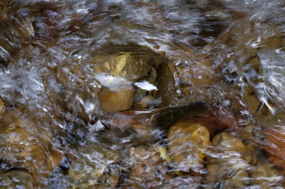 3 Andreas H DSCF3592