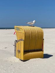 20240909091705 Img 5495 T