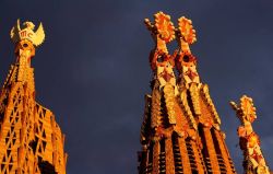 20240909094926 Gelb Barcelona T