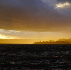 20240909094926 Gelb Kempratner Bucht T