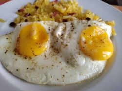 20241004115544 Spiegeleier Foto T