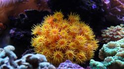 20241012152528 Dsc00977 1 T