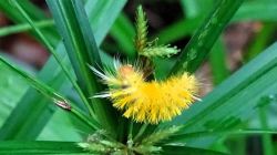 20241012152612 Img 1395 1 1 T