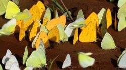 20241012152644 Img 6811 1 T