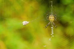  20240920201942 Dsc04076 1 Denoiseai Clear Winner