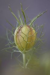  20241013183146 Benno Ott Bl Te Winner