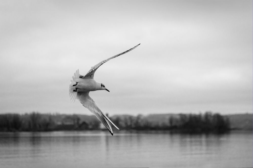 06 07 Steilkurve Luetscher Hannes