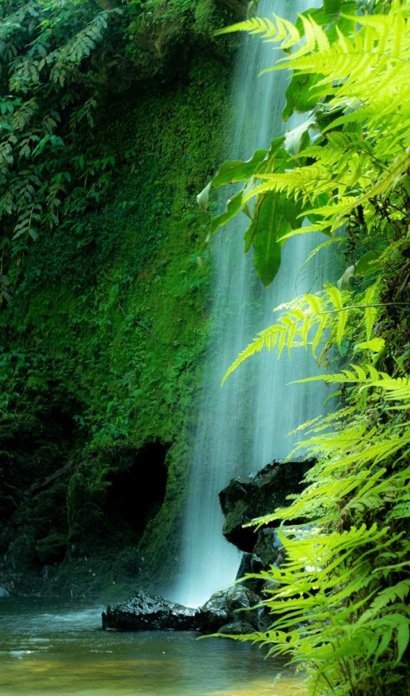 01 118 FCRJWettbewerb2023 Pircher Monika