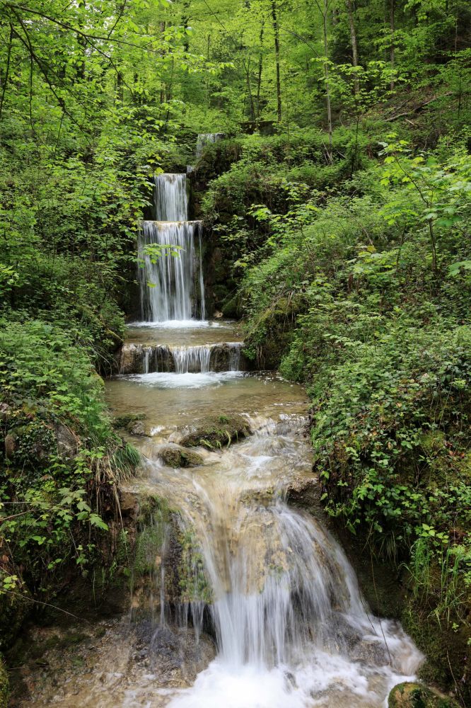 07 114 FCRJWettbewerb2023 Neff Peter