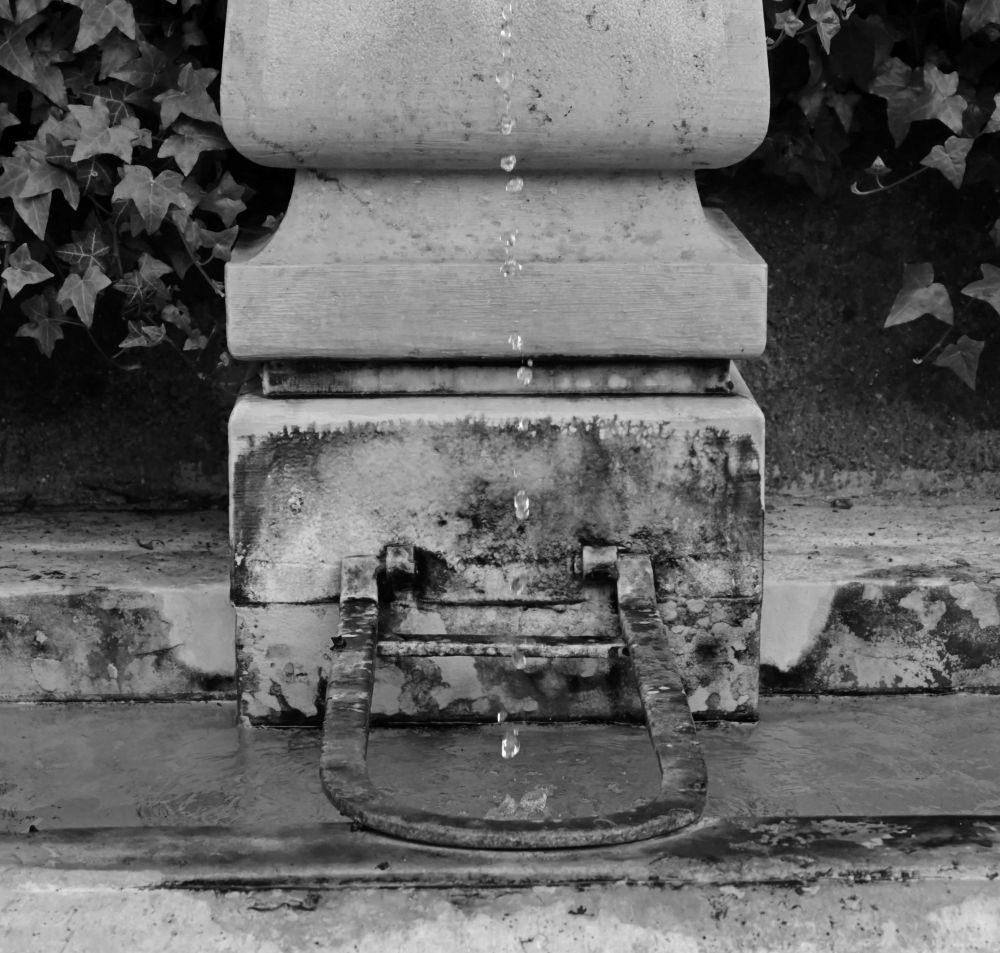 17 113 FCRJWettbewerb2023 Lingg Joya