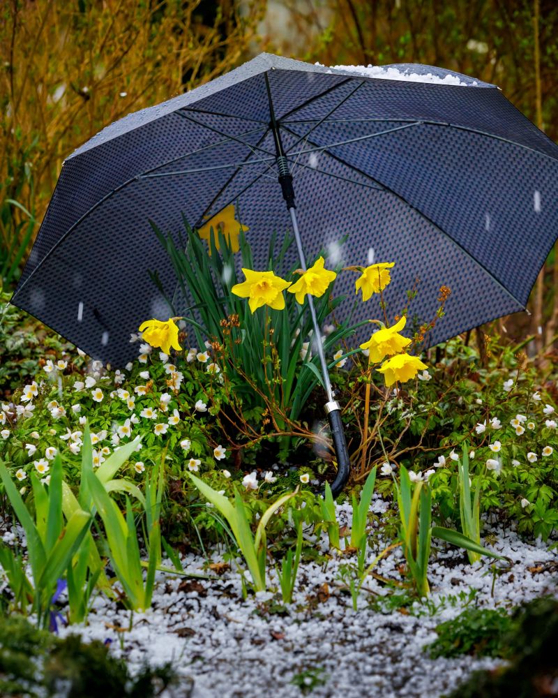 18 116 FCRJWettbewerb2023 Stettler Urs