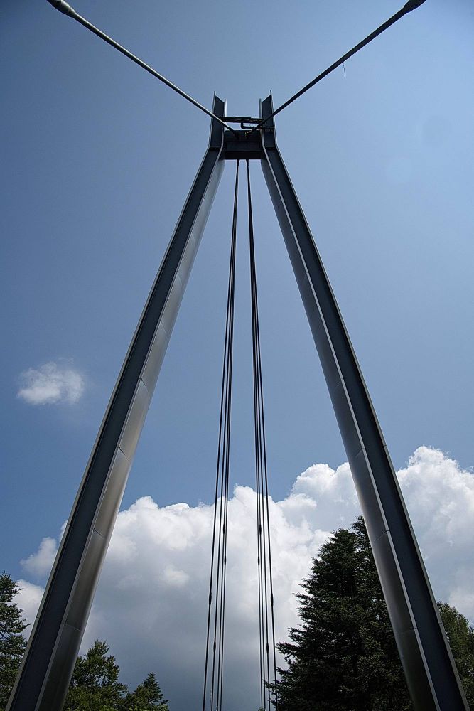 FCRJAusstellung2024 Aebli Erna 2000