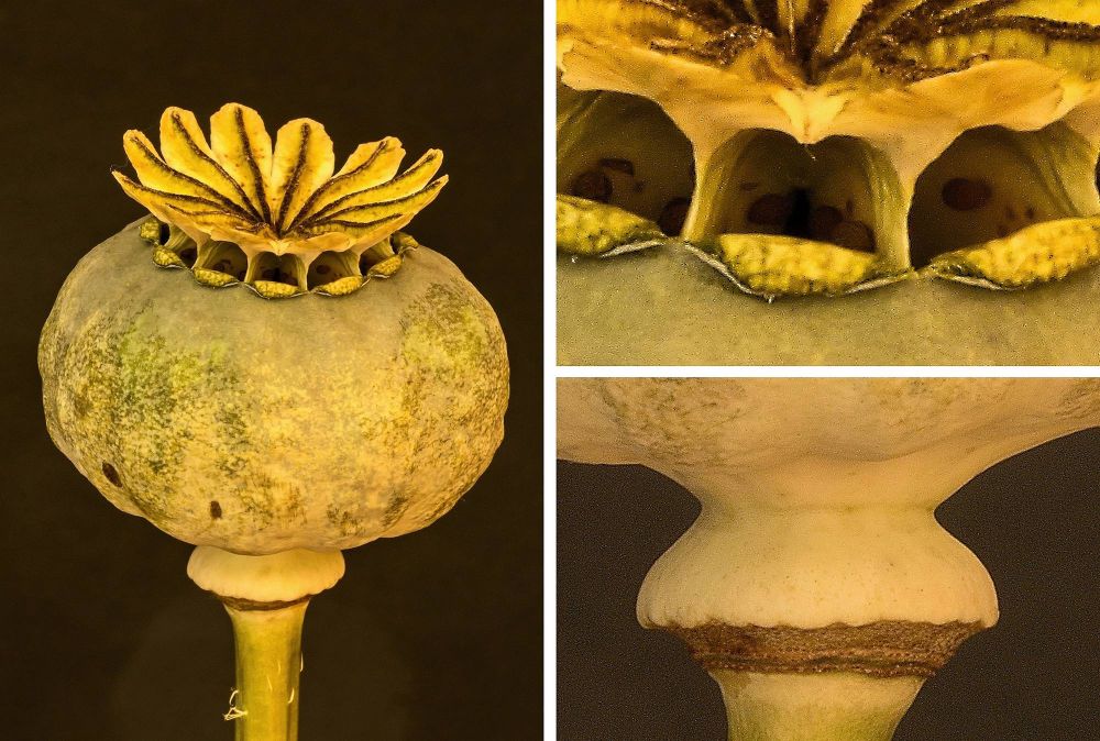 FCRJAusstellung2024 Keller Georg 2000