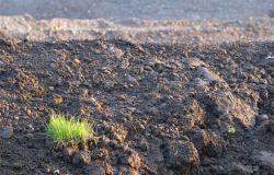 Jb 2011 1 Irene Erde