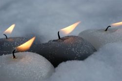 Jb 2011 1 Irene Feuer