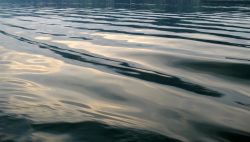 Jb 2011 1 Irene Wasser