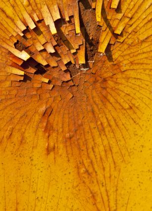 Fotoclub RJ Monatsbild 1 OKT2011