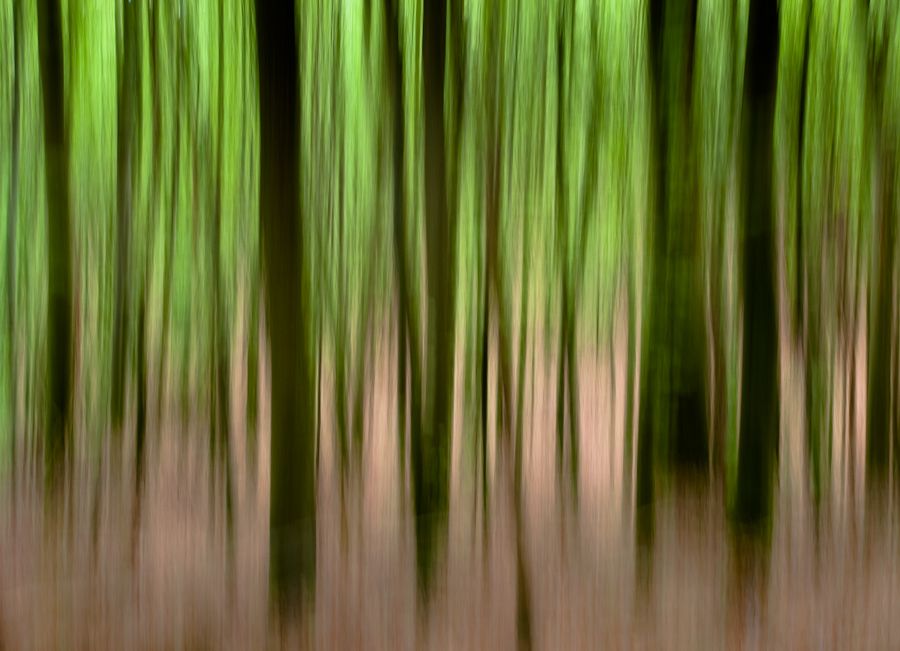 Fotoclub Rj Monatsbild 1 Mai