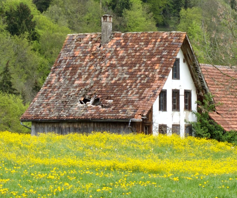 Fotoclub Rj Monatsbild 2 Mai