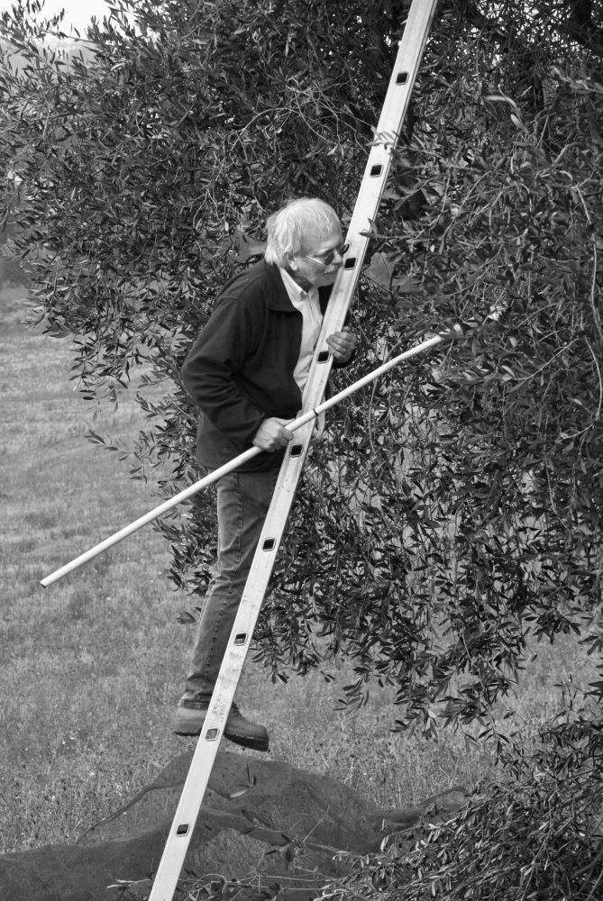 Fotoclub Rj Monatsbild 2 Mar2012