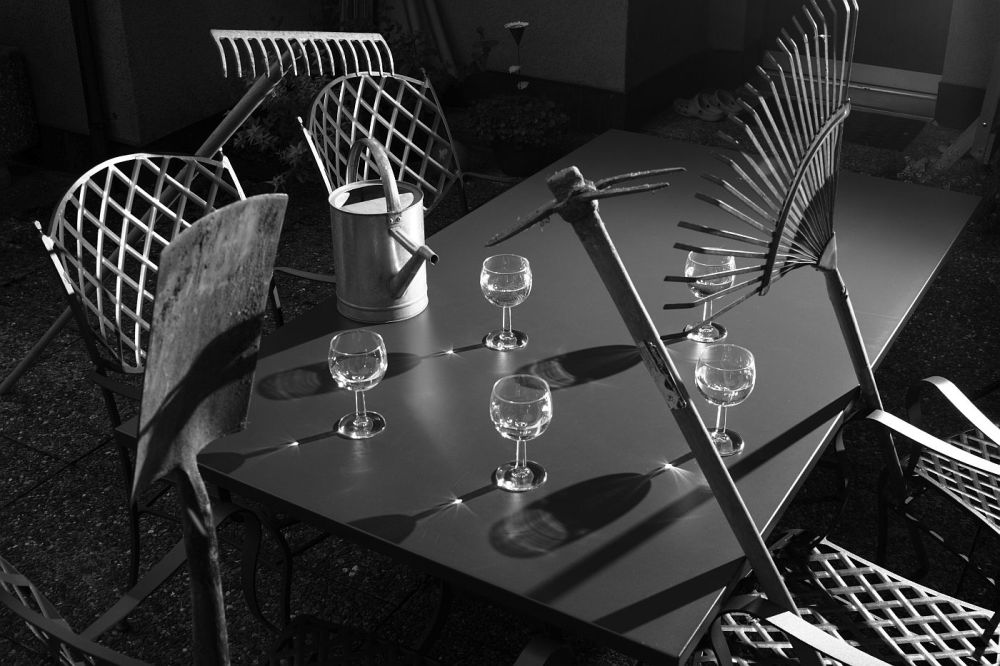 Fotoclub Rj Monatsbild 2 Sep2012