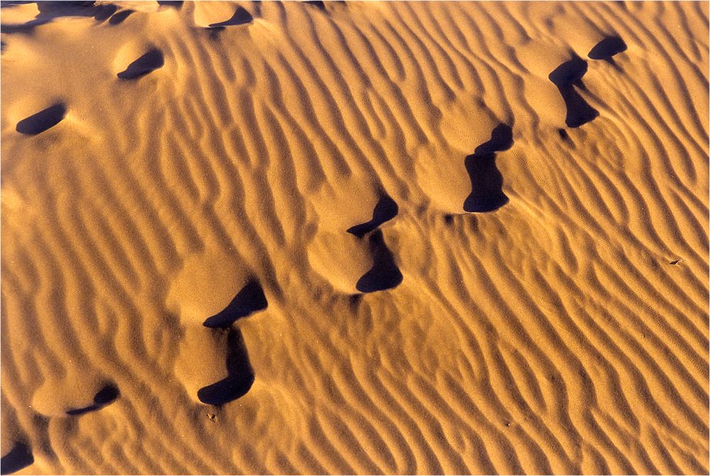 Fotoclub Rj Monatsbild 3 Feb2012